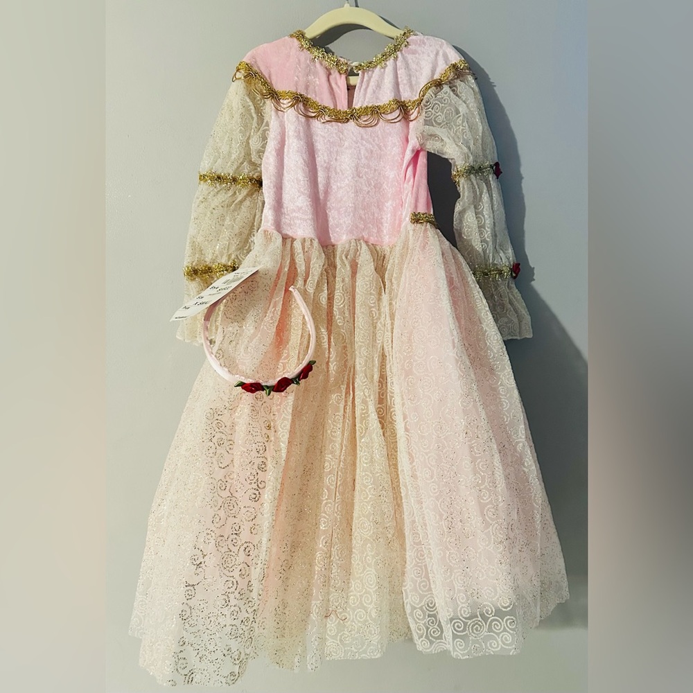 Girls Pink Princess Costume Dress with Gold Trim, Red Floral - Picture 8 of 9
